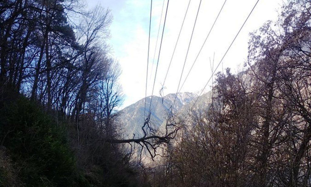 L'arbre caigut sobre el cablejat.