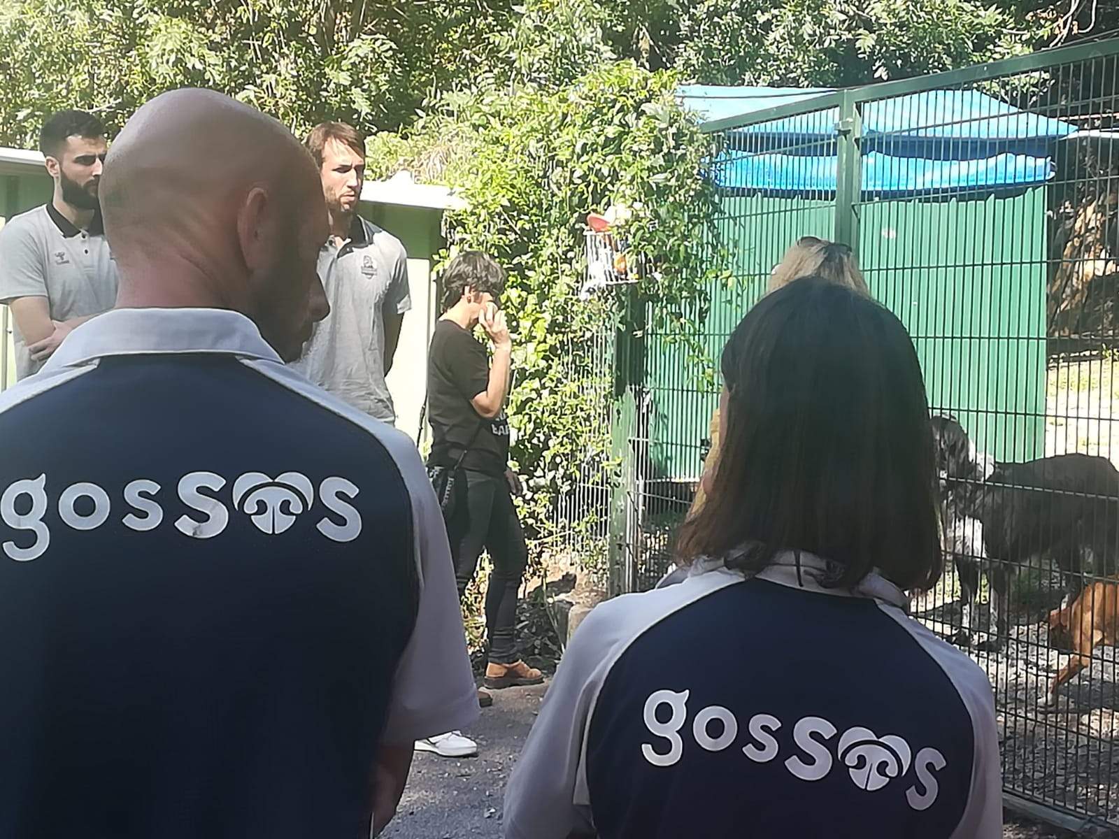 Els jugadors del MoraBanc Andorra han visitat la gossera. A la foto Mihajlo Andric i Nacho Llovet.