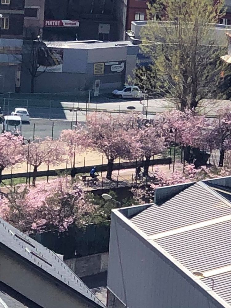 Una de les fotos de denúncies penjades a la xarxa.