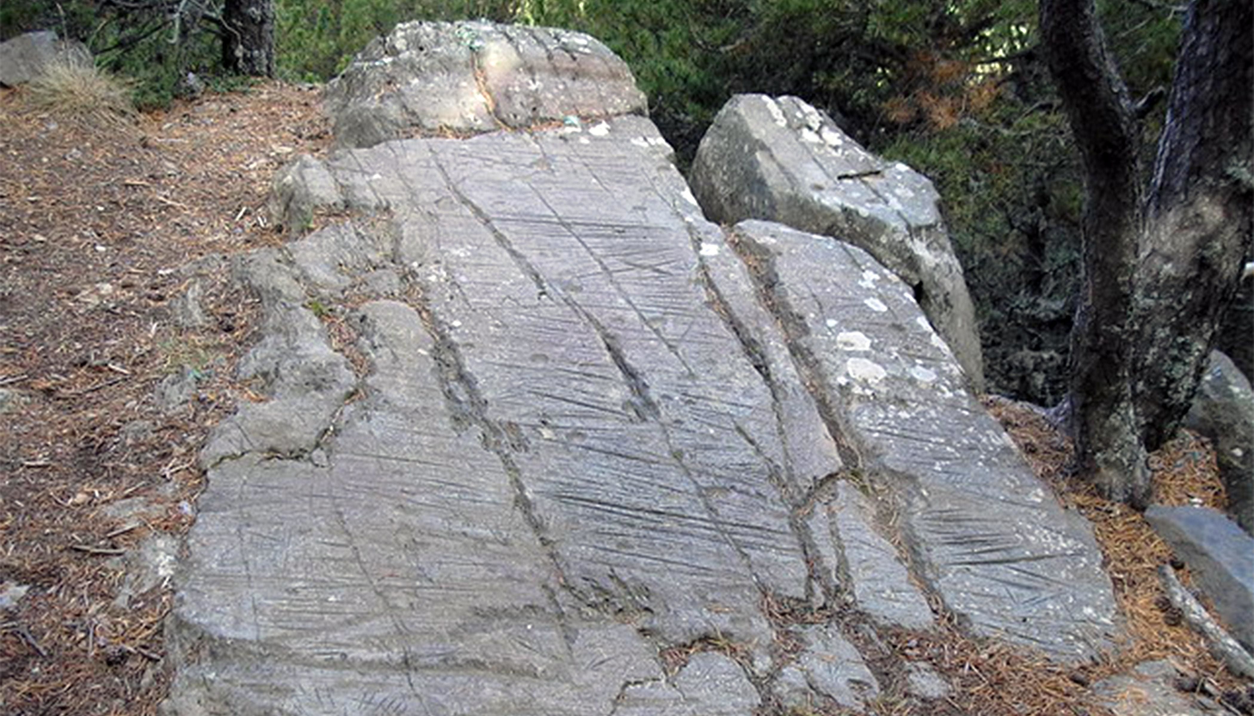 El roc de les Bruixes.