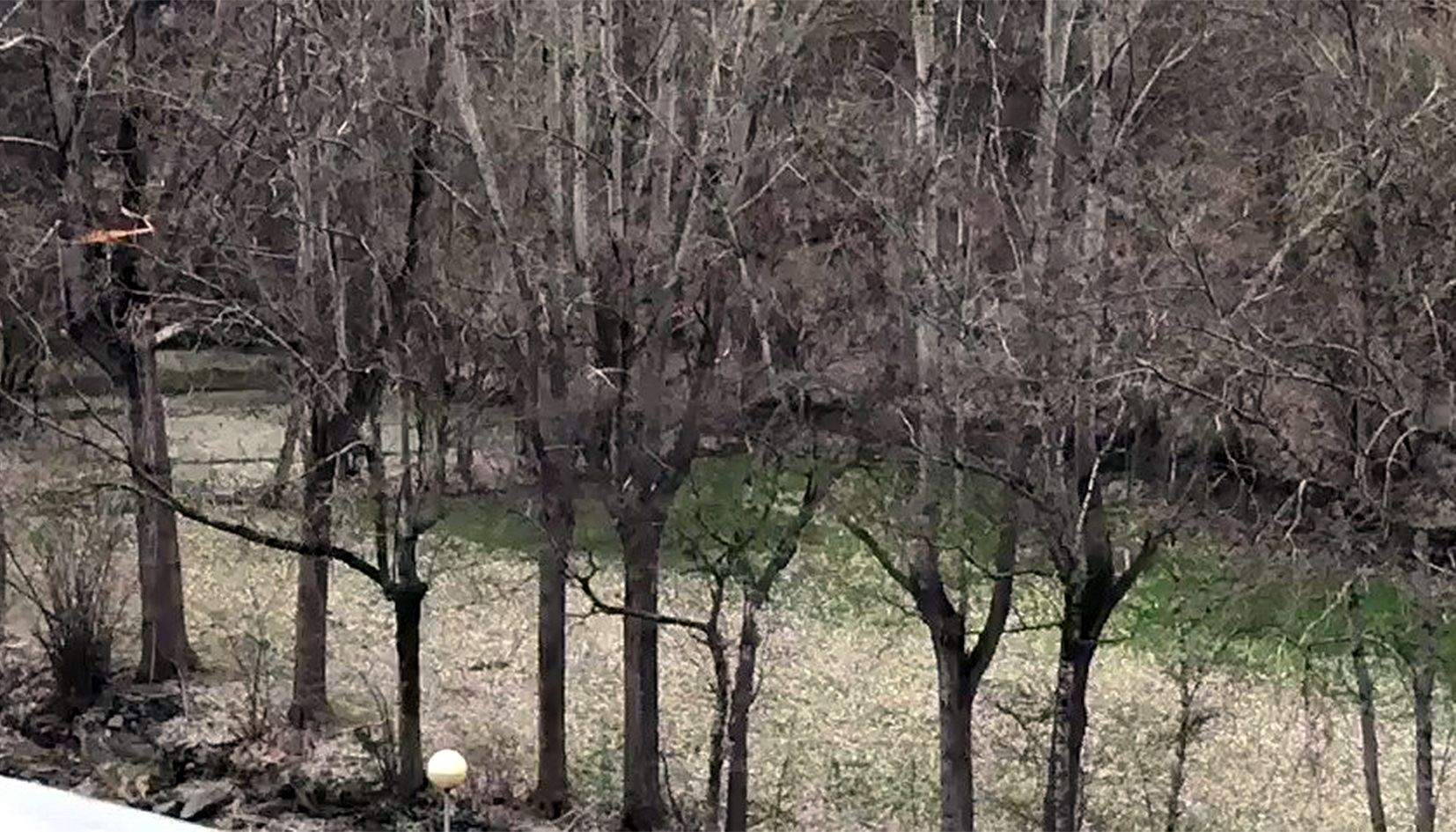 Un jove passejava aquest dissabte damunt d'una corda lligada entre arbre i arbre a Santa Caterina d'Ordino.