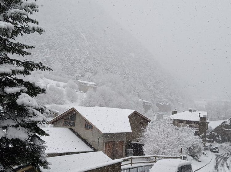 Un exemple de fotograrfia que podria servir pel concurs.