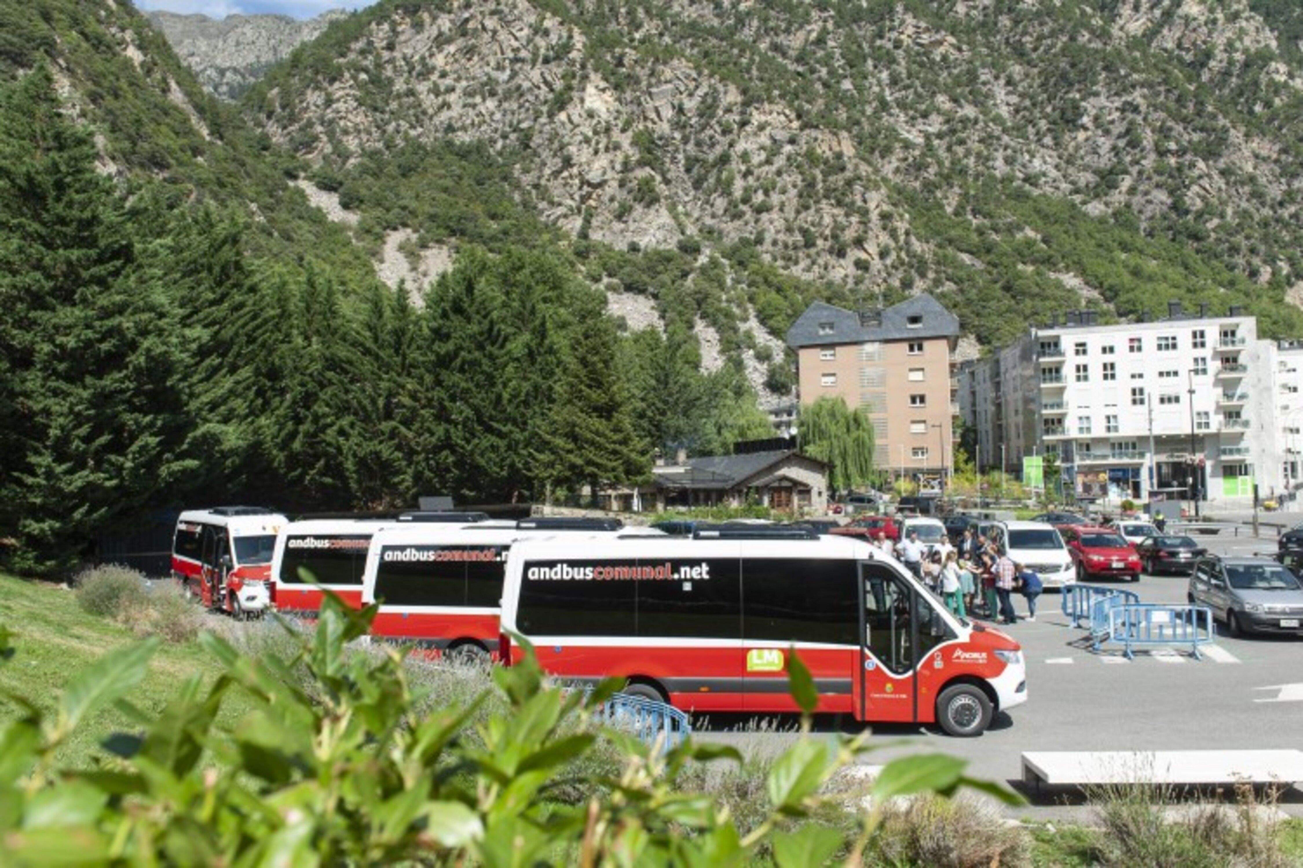 Els busos del servei comunal el dia de la seva presentació.