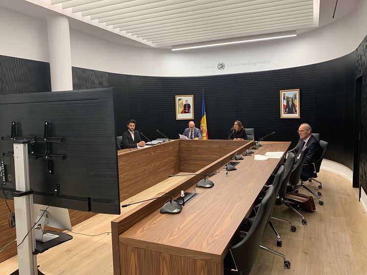 Una sessió de comú celebrada durant el confinament.