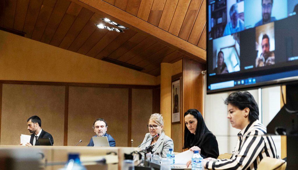 El comú de la Massana ha celebrat aquest dimecres una sessió telemàtica.