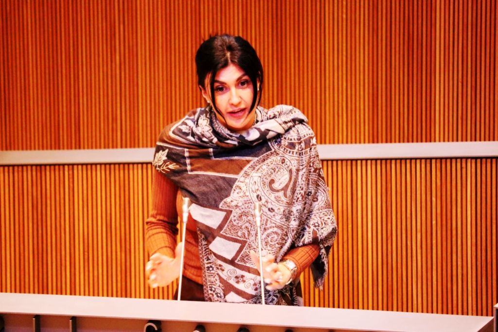 La consellera general de Terceravia, Carine Montaner. La consellera general de Terceravia, Carine Montaner.