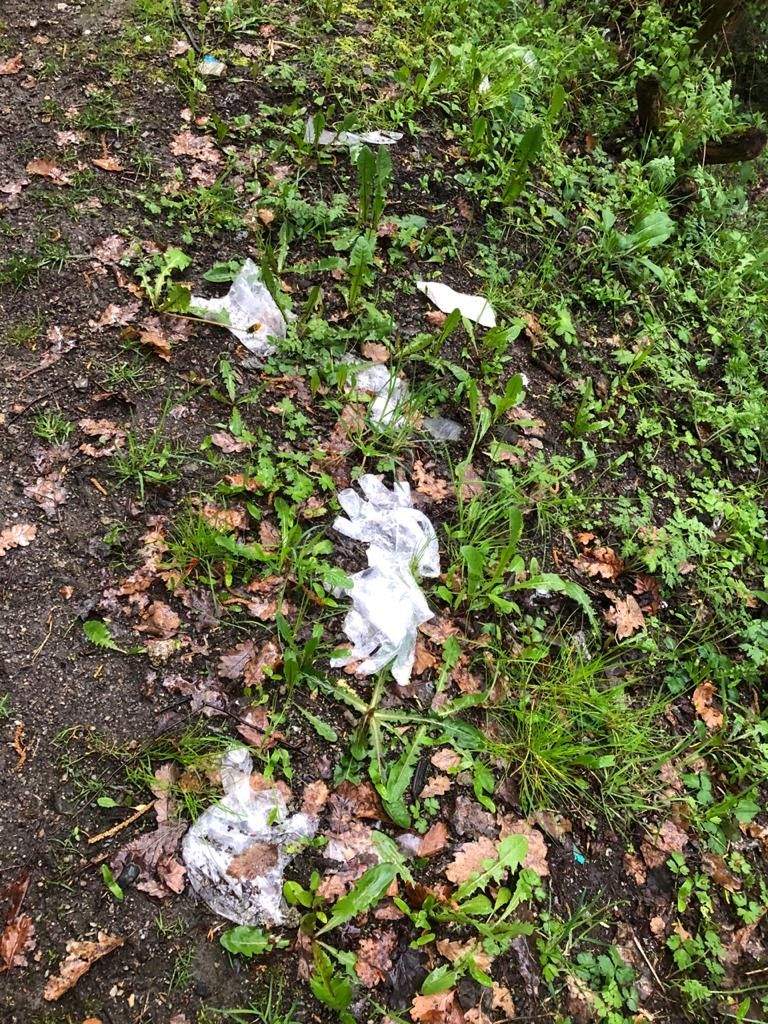 Guants llançats al terra en un camí rural de la Massana.