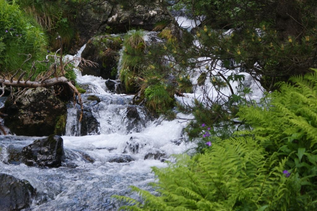 Curs fluvial a la vall de Rialb. Curs fluvial a la vall de Rialb.