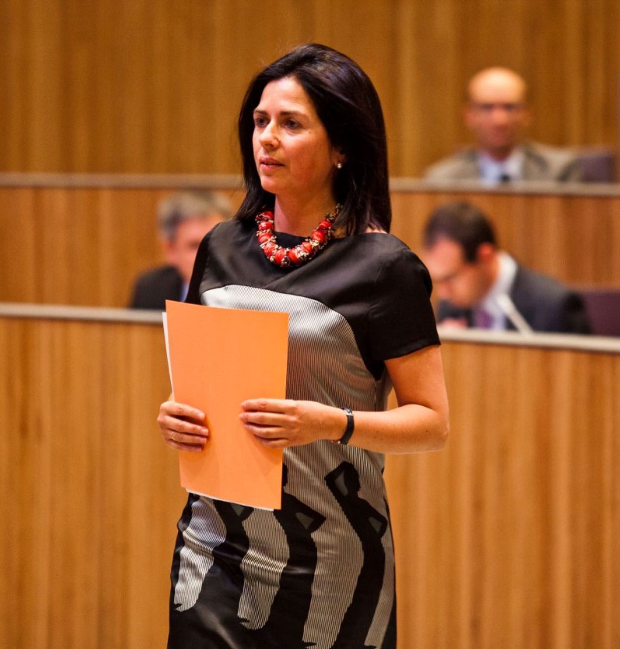 Meritxell Mateu, durant la seva etapa de consellera general.