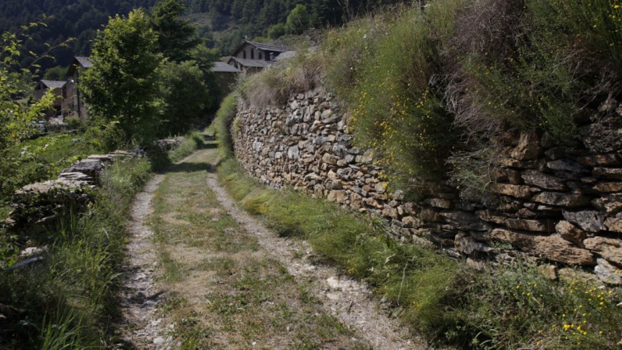 Camí del Mas d'Alins a Arduix (Alt Urgell).