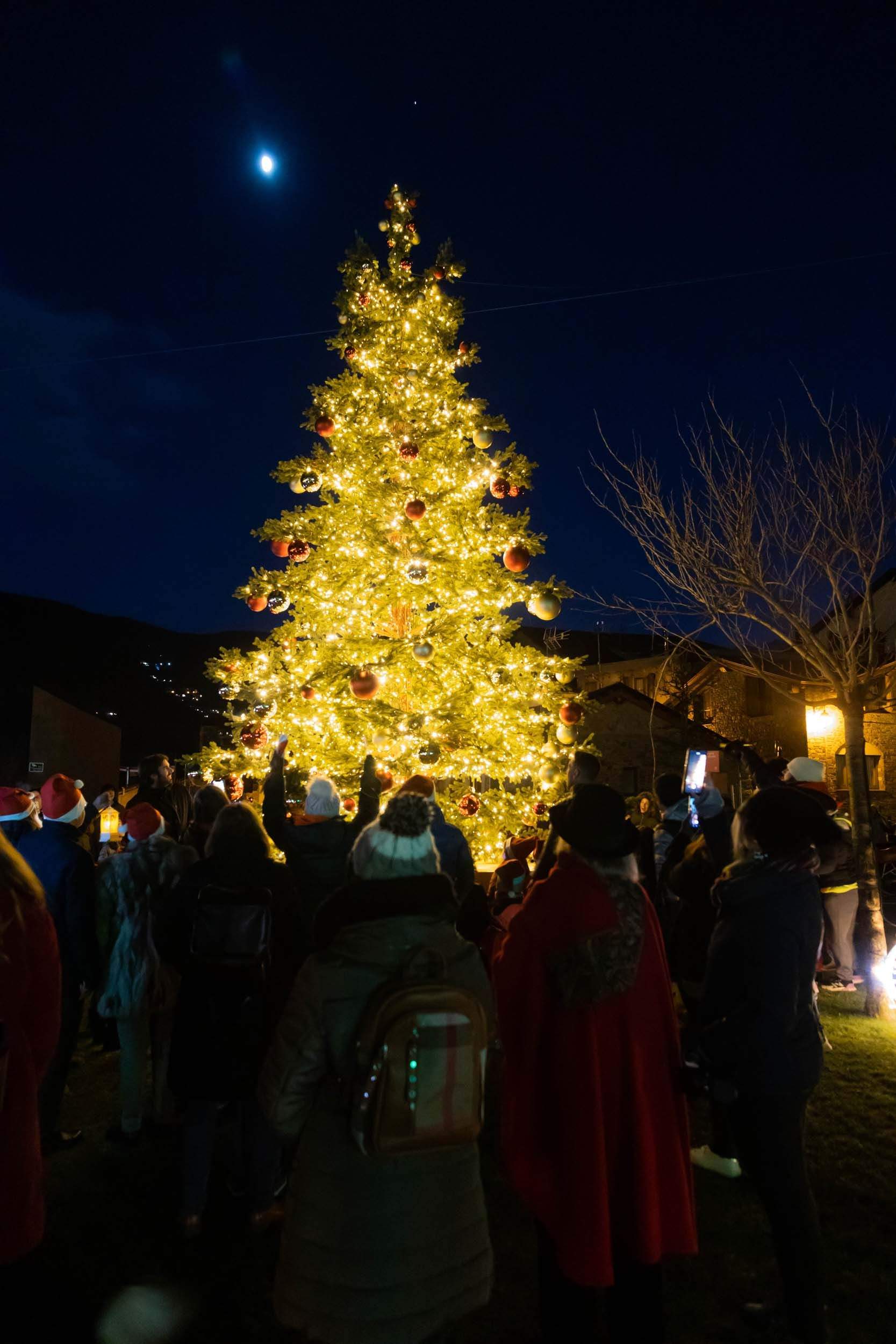 Un arbre il·luminat a la plaça de les Fontetes.