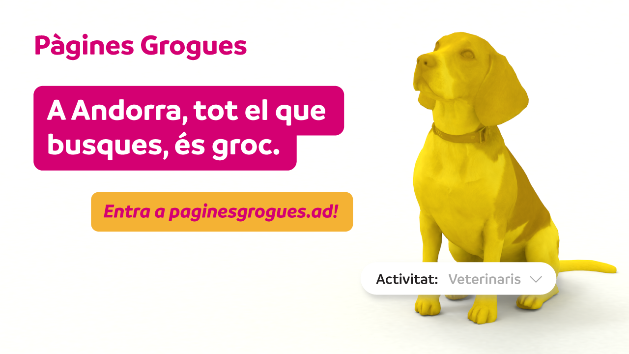 El web paginesgrogues.ad ha rebut més de 200.000 consultes durant l’any 2022.