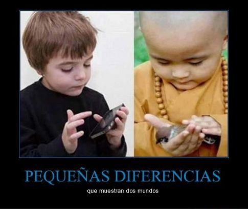 CR 826670 f49ca6bda5b34379894beb5e705cbaf1 pequentildeas diferencias