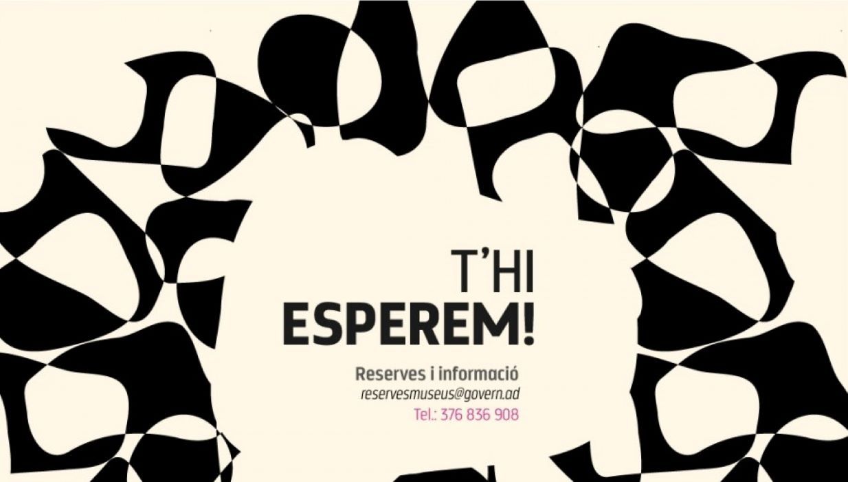 Cartell de la iniciativa.