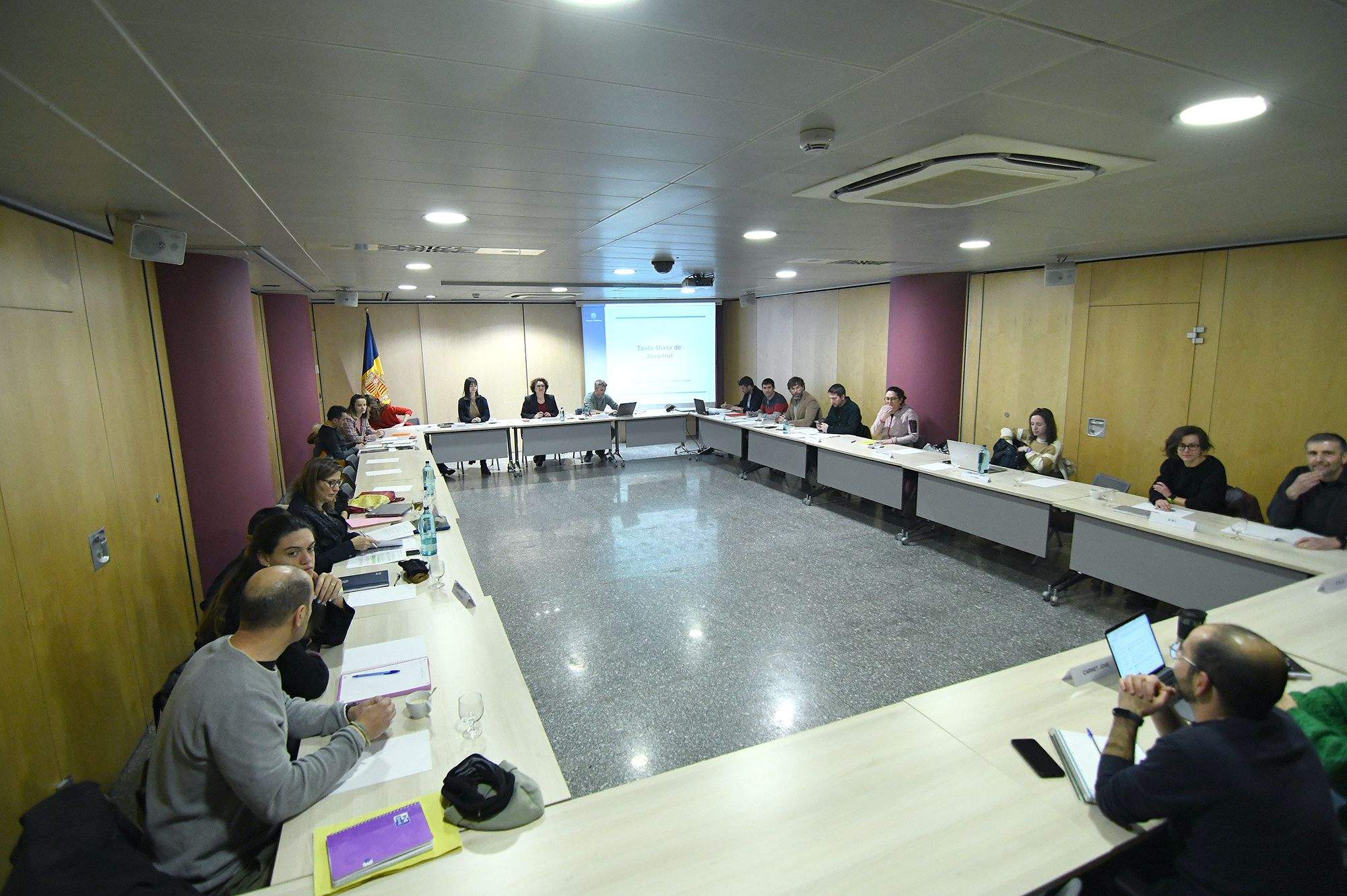Taula Mixta de la joventut on s'ha presentat el pla nacional.