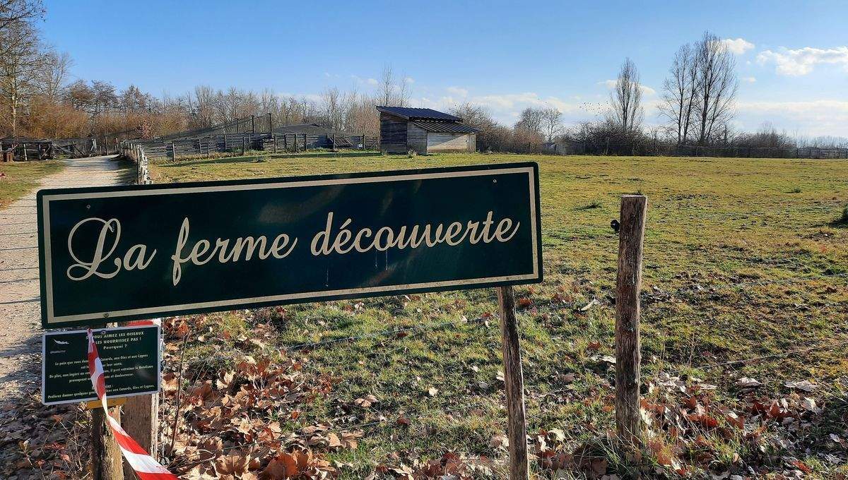 La granja on s'ha originat el brot al departament de l'Arieja.