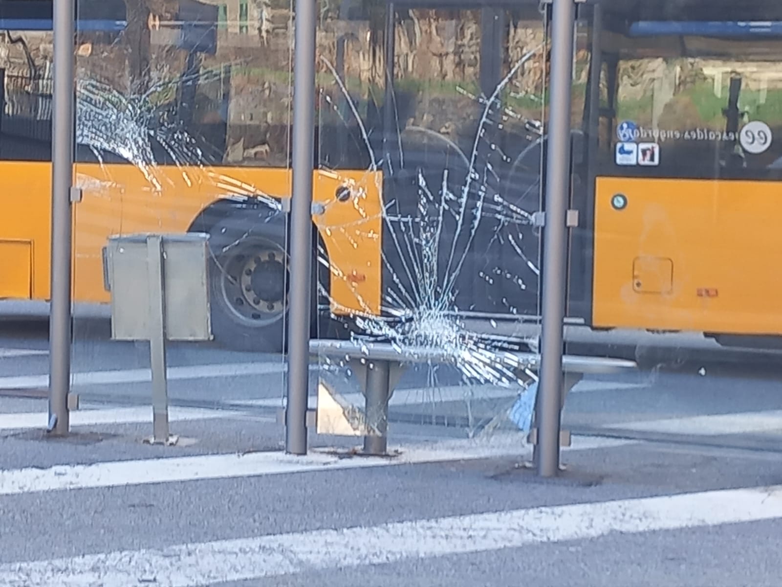 Els fets que han afectat la marquesina haurien tingut lloc aquesta mitjanit passada.