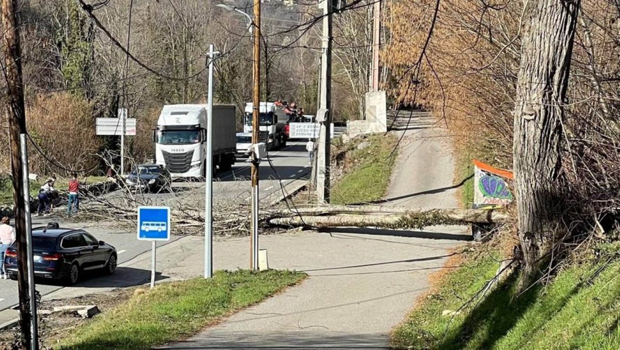 L'arbre i el pal elèctric al mig de la calçada de la RN20 entre Acs i Merens.