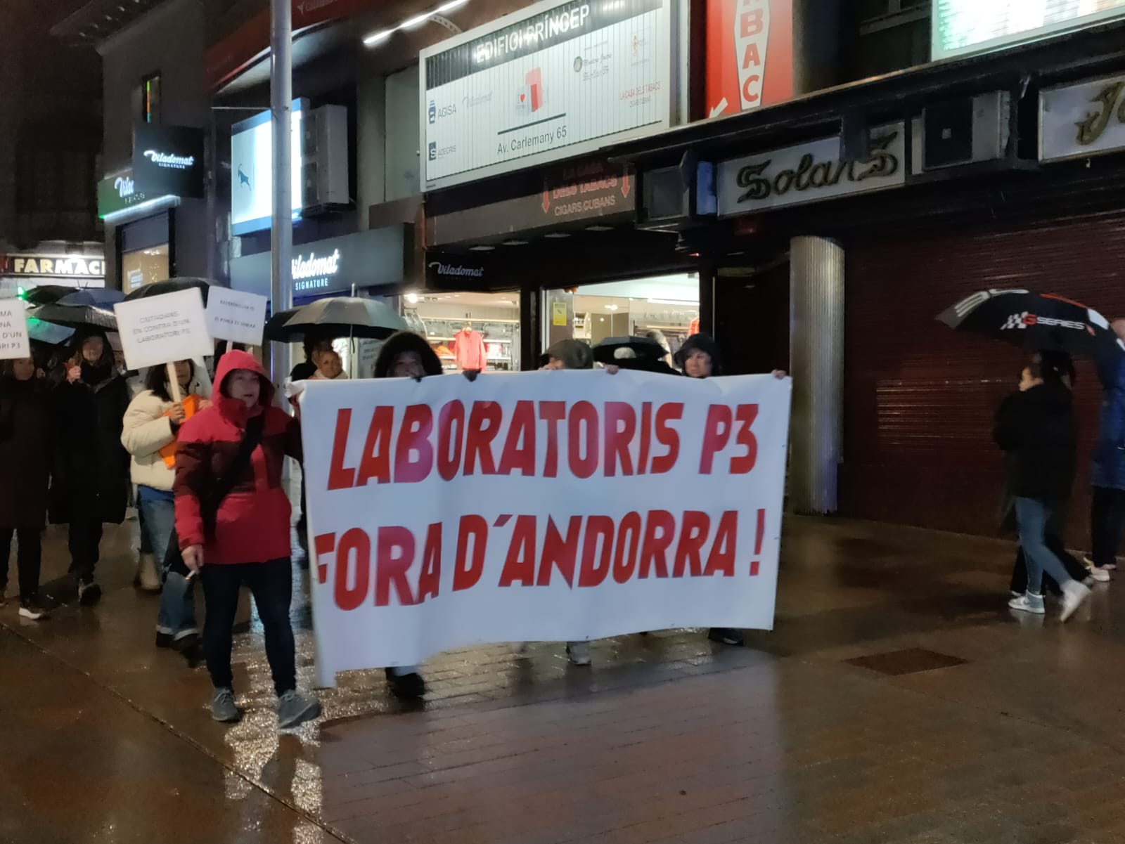 La capçalera de la marxa a l'avinguda Carlemany.