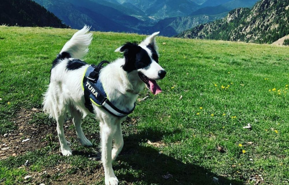 285433410 811098509863484 4315229539088511592 n 285433410 811098509863484 4315229539088511592 n