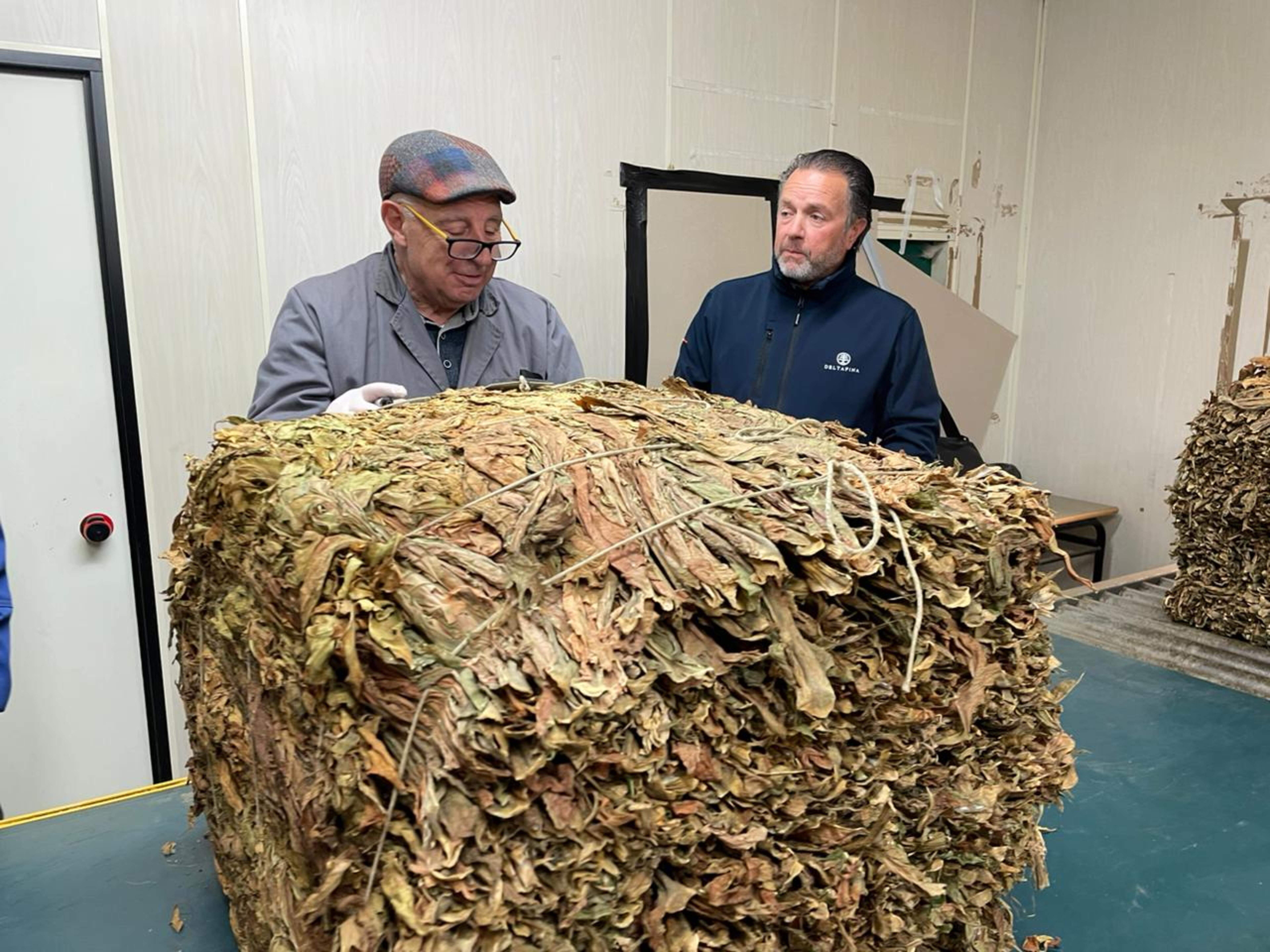 El classificador, Antoni Servat Pintat, rebent un embalum de tabac.