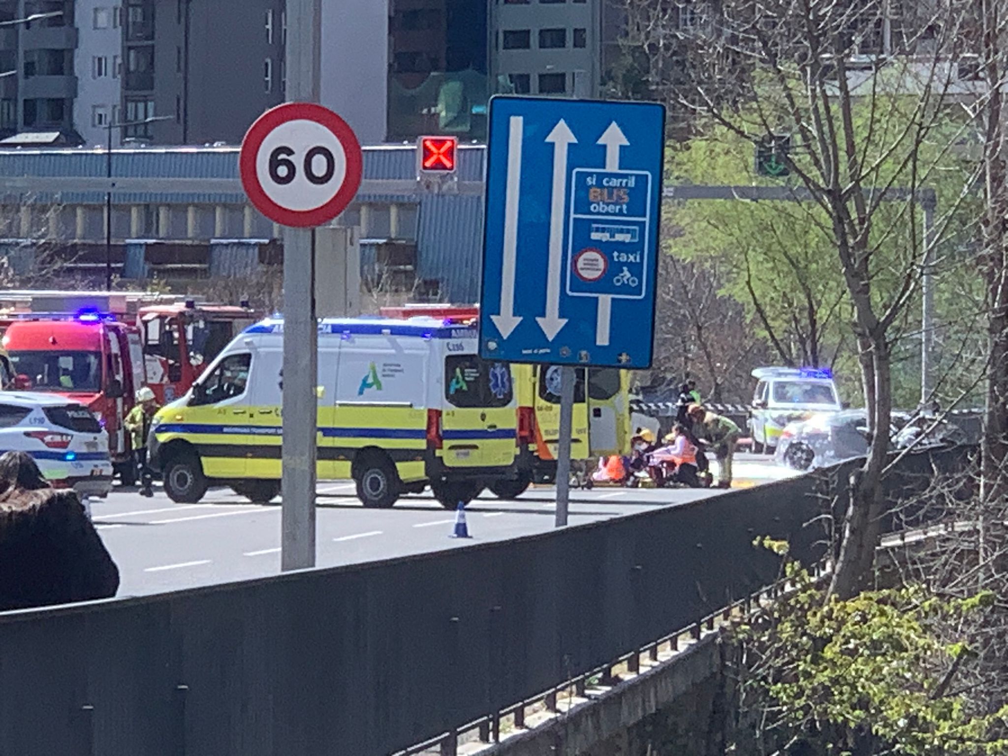 Efectius dels cossos de seguretat a la zona.