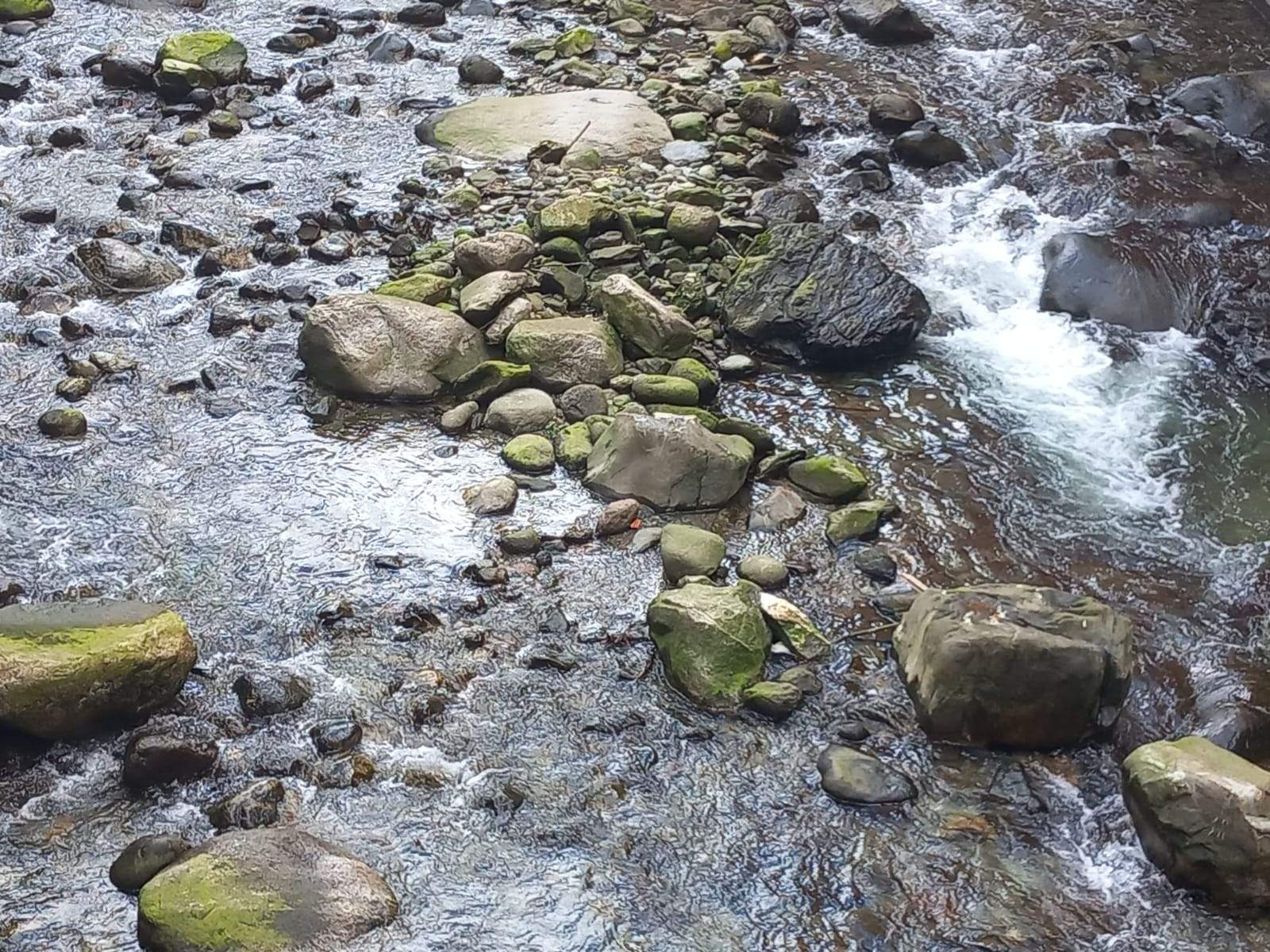 El riu Valira al seu pas per Escaldes Engordany