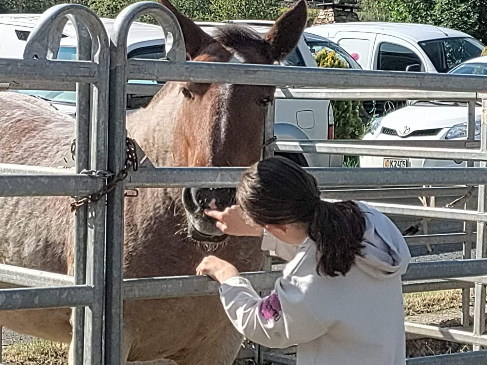 Una nena acaricia un cavall.