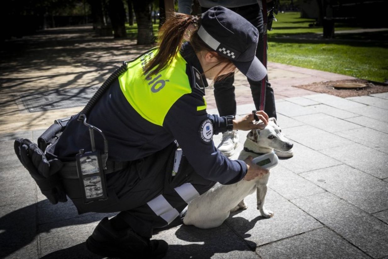 Una agent controla un gos al Parc Central d'Andorra la Vella aquest dilluns.