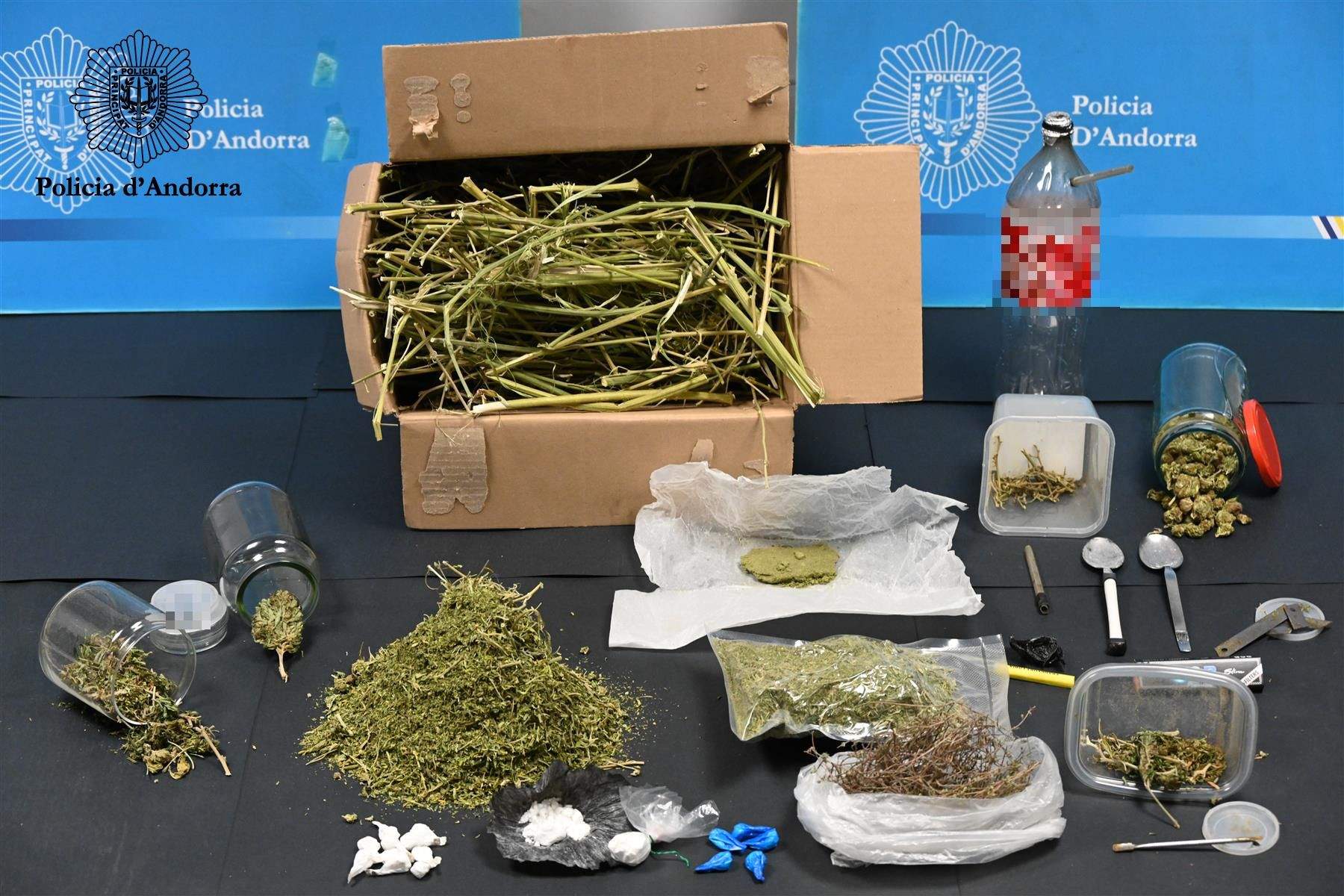 Material comissat en una de les operacions amb les quals estaven relacionats els processats.