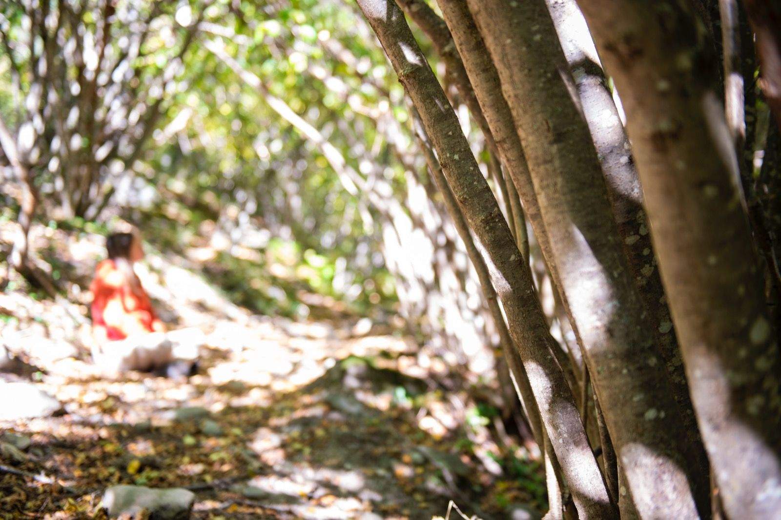 Una dona durant un bany de bosc