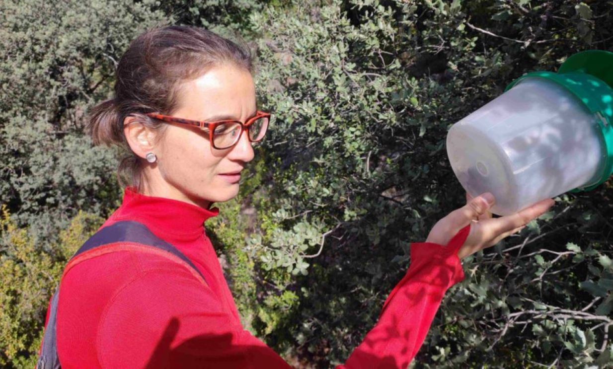 Una investigadora de l'AR+I amb una de les trampes.