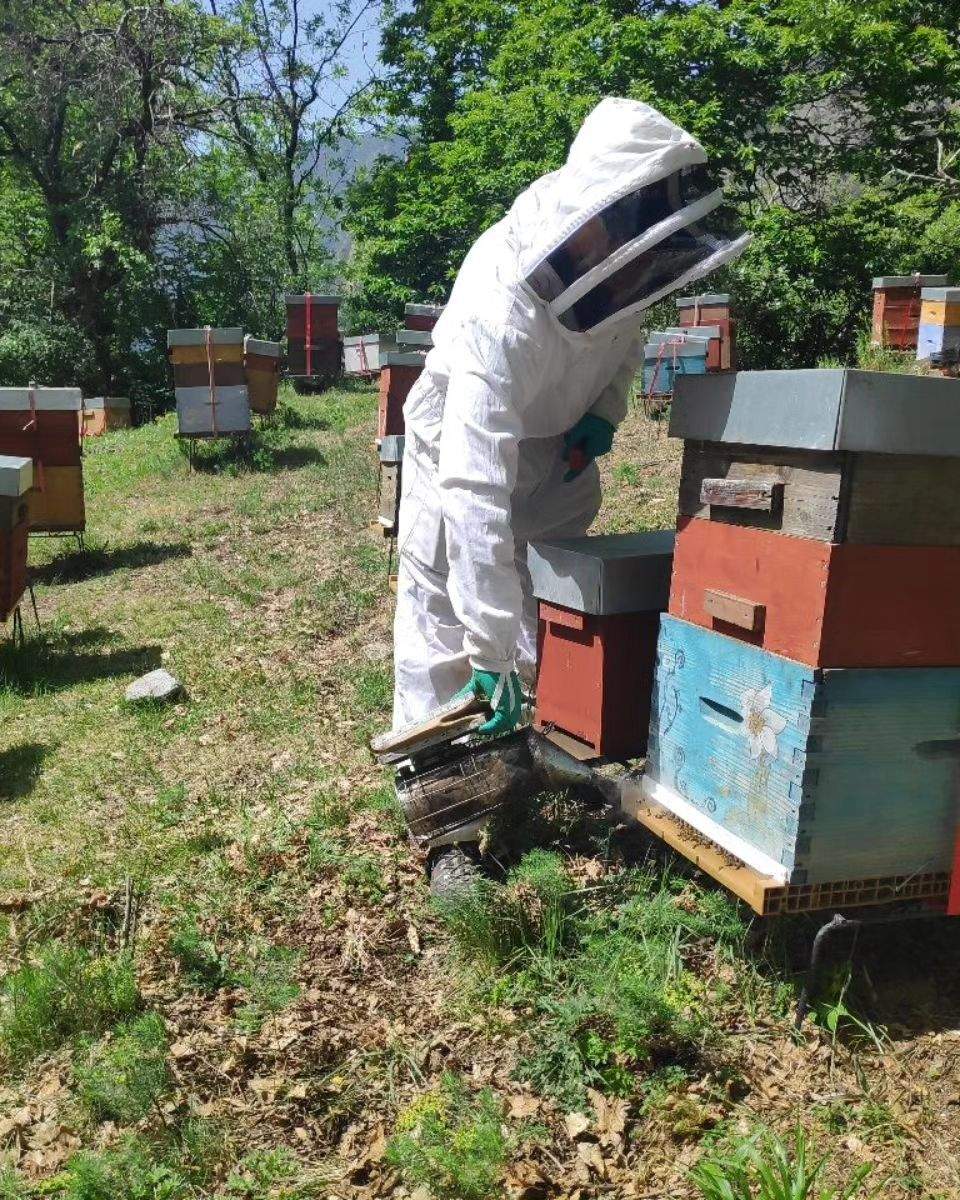 350233815 788193276134675 1868252811601963939 n 350233815 788193276134675 1868252811601963939 n