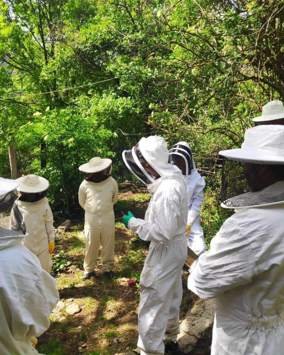 349054293 265288159246775 8162607883229026672 n 349054293 265288159246775 8162607883229026672 n