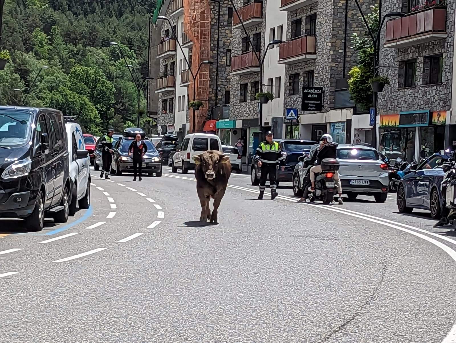 WhatsApp Image 2023 06 04 at 13.50.31