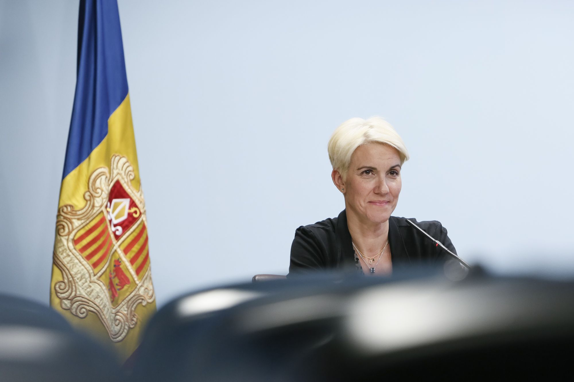 Cristina Pérez en una compareixença a Govern.