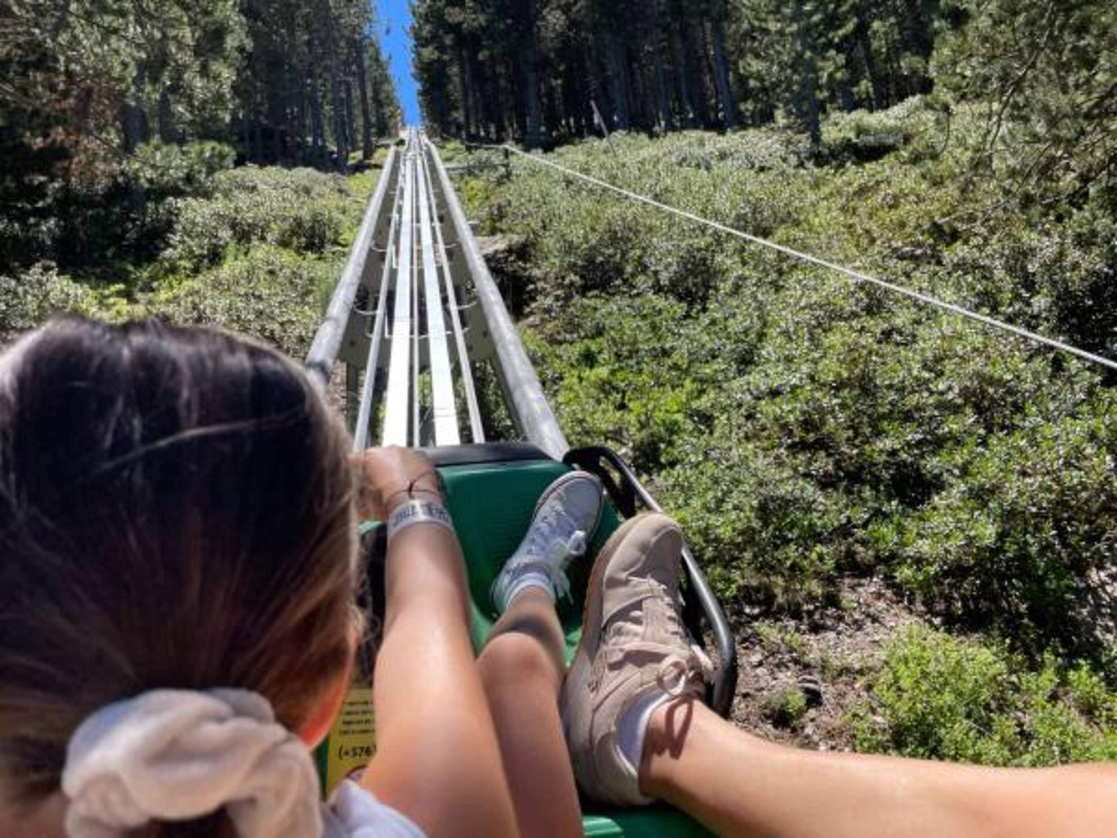 El tobotronc continua sent una de les grans atraccions de Naturland.