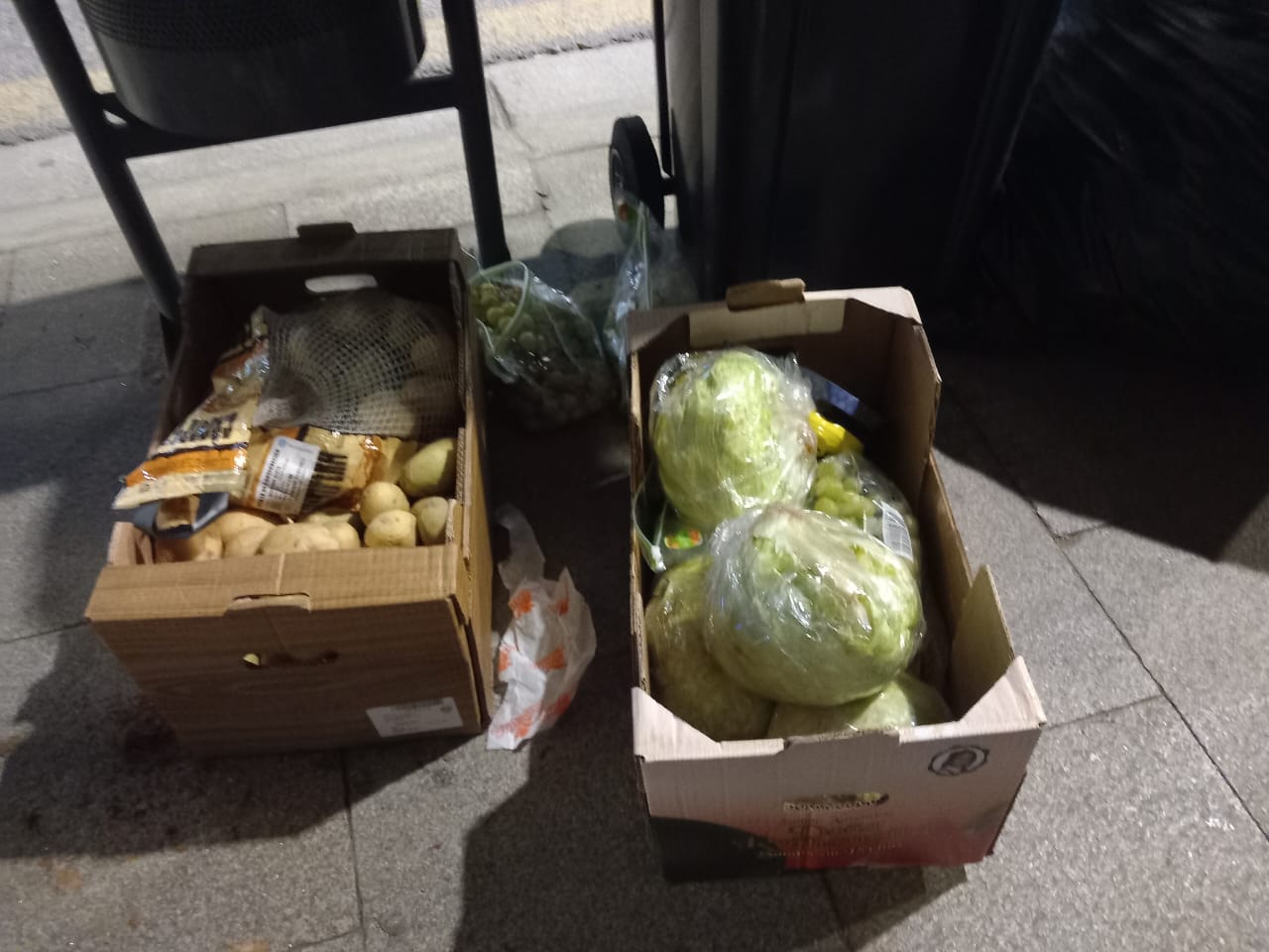 Fruites i hortalisses 'abandonades' a l'avinguda Santa Coloma.