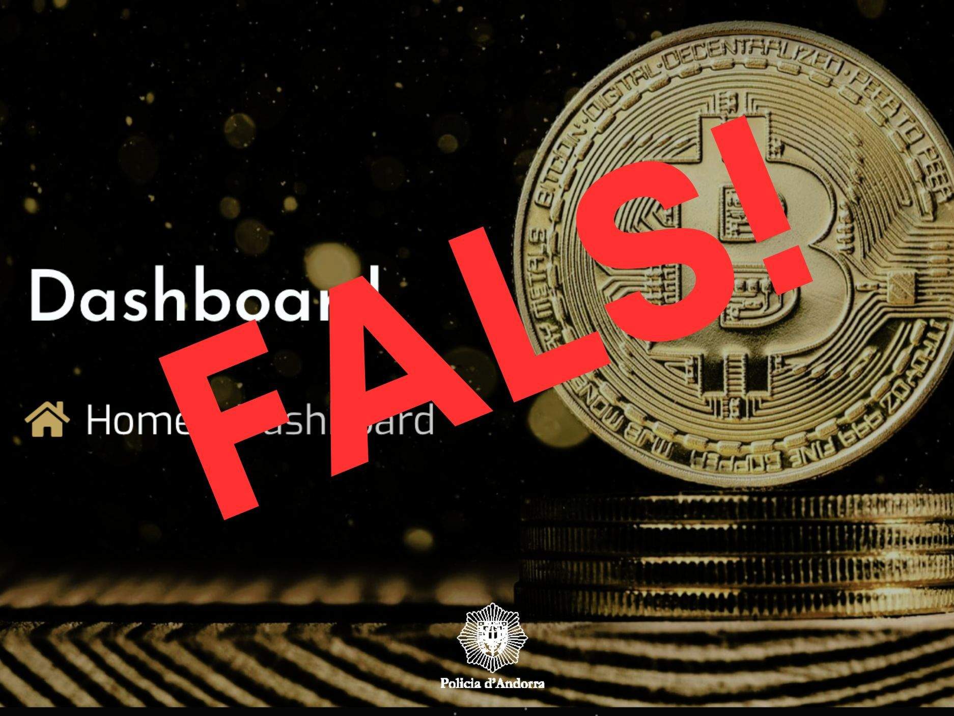 Una de les pàgines falses dels estafadors.