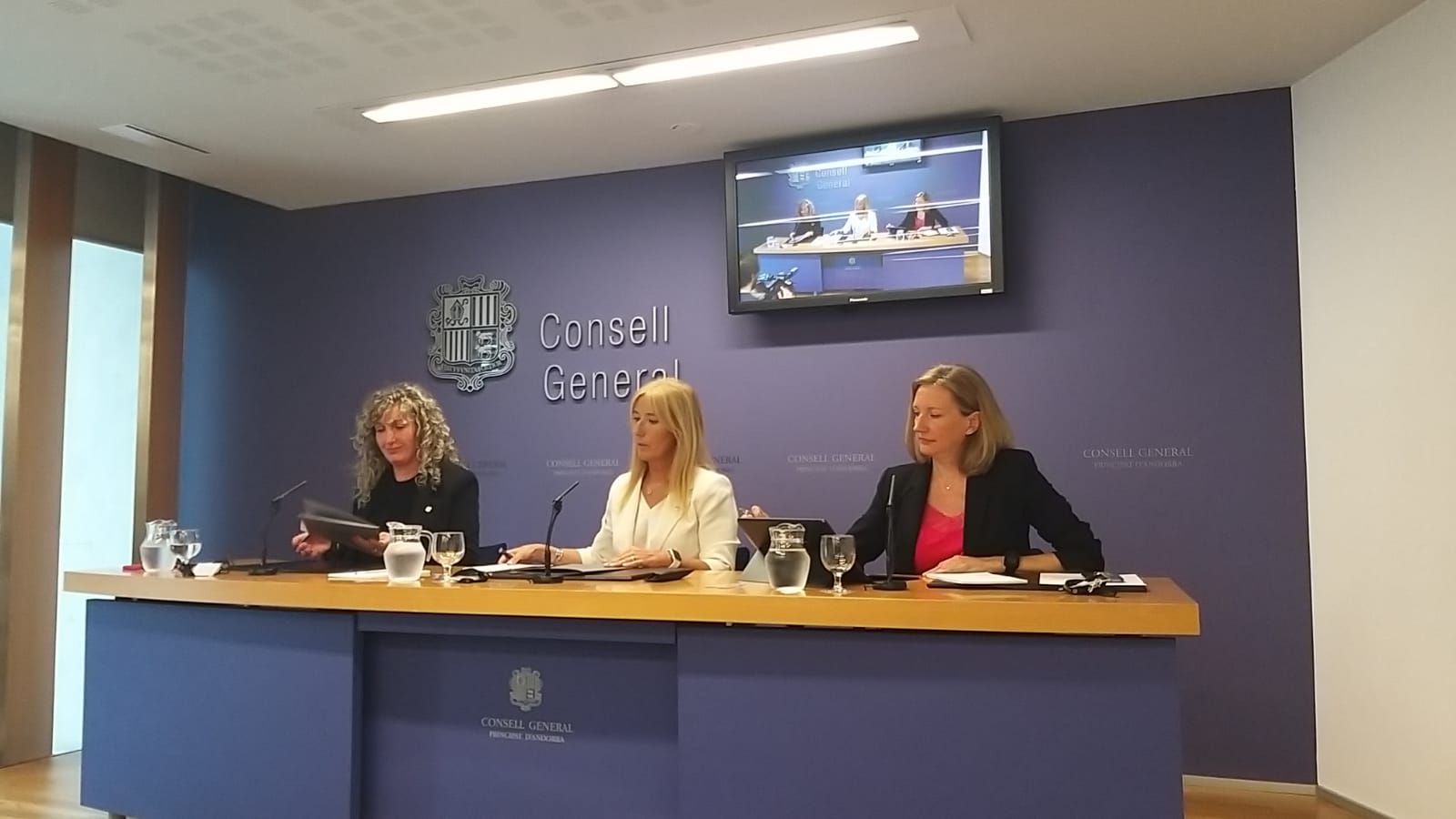 Puig, Codina i Aché durant la roda de premsa d'aquest dijous al Consell General.