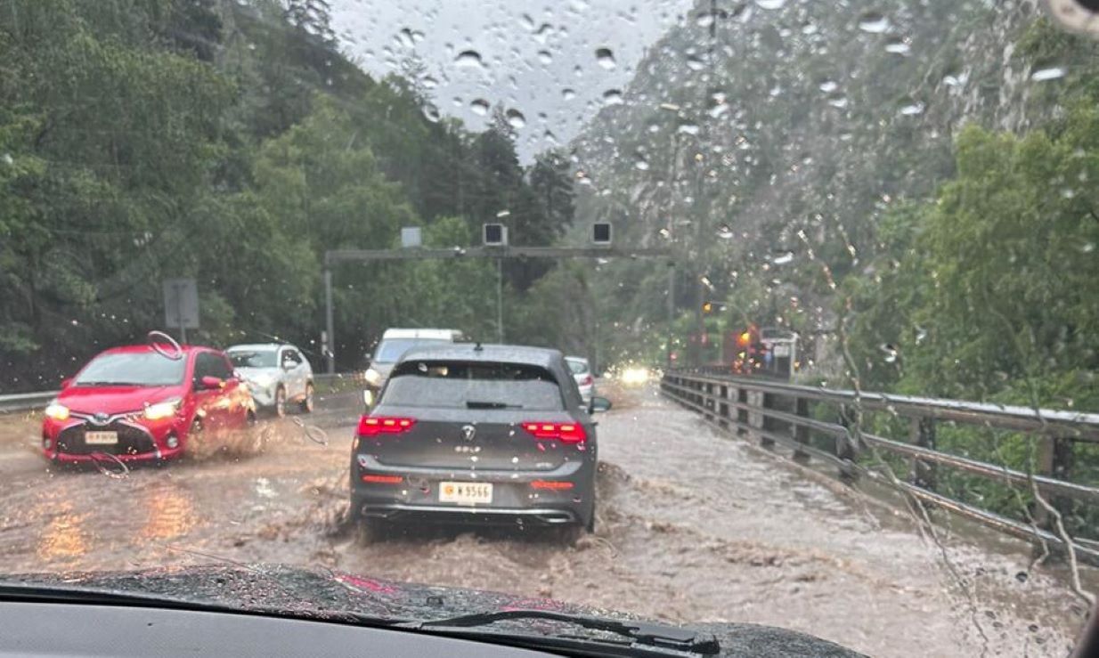 Bassals provocats pel patac d'aigua d'aquest dilluns.