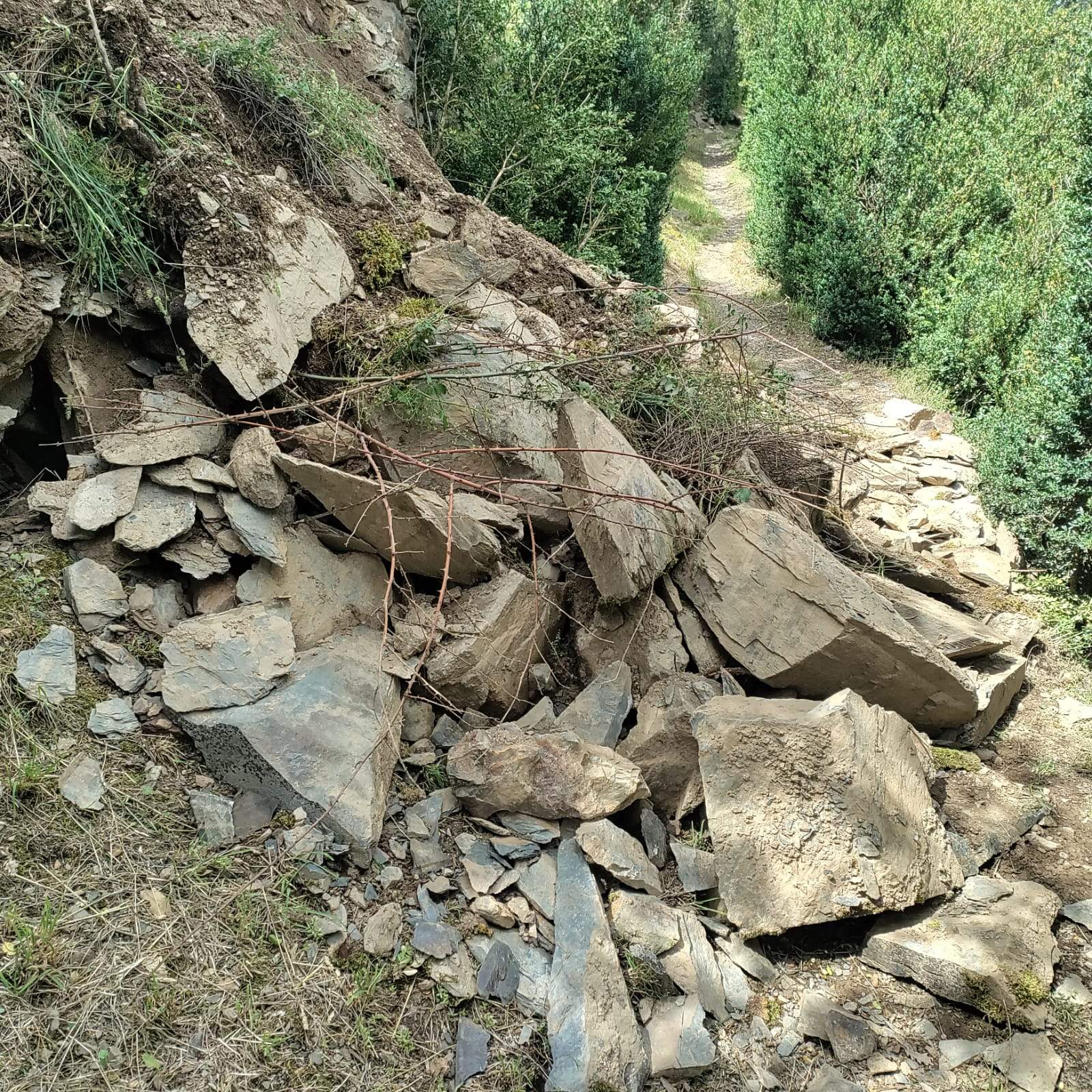 L'esllavissada al camí d'Aixirivall.