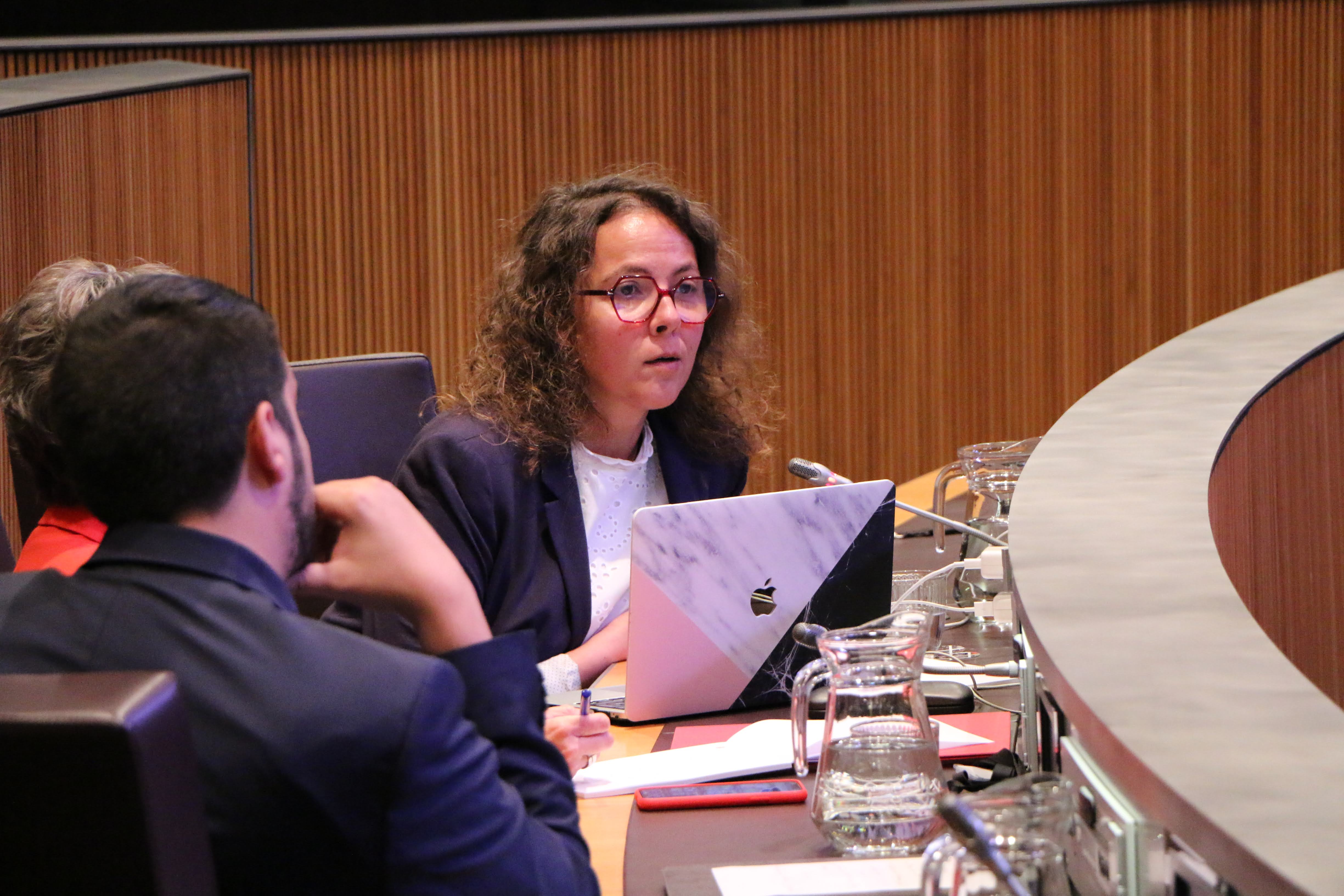 La presidenta del grup parlamentari socialdemòcrata, Judith Salazar La presidenta del grup parlamentari socialdemòcrata, Judith Salazar