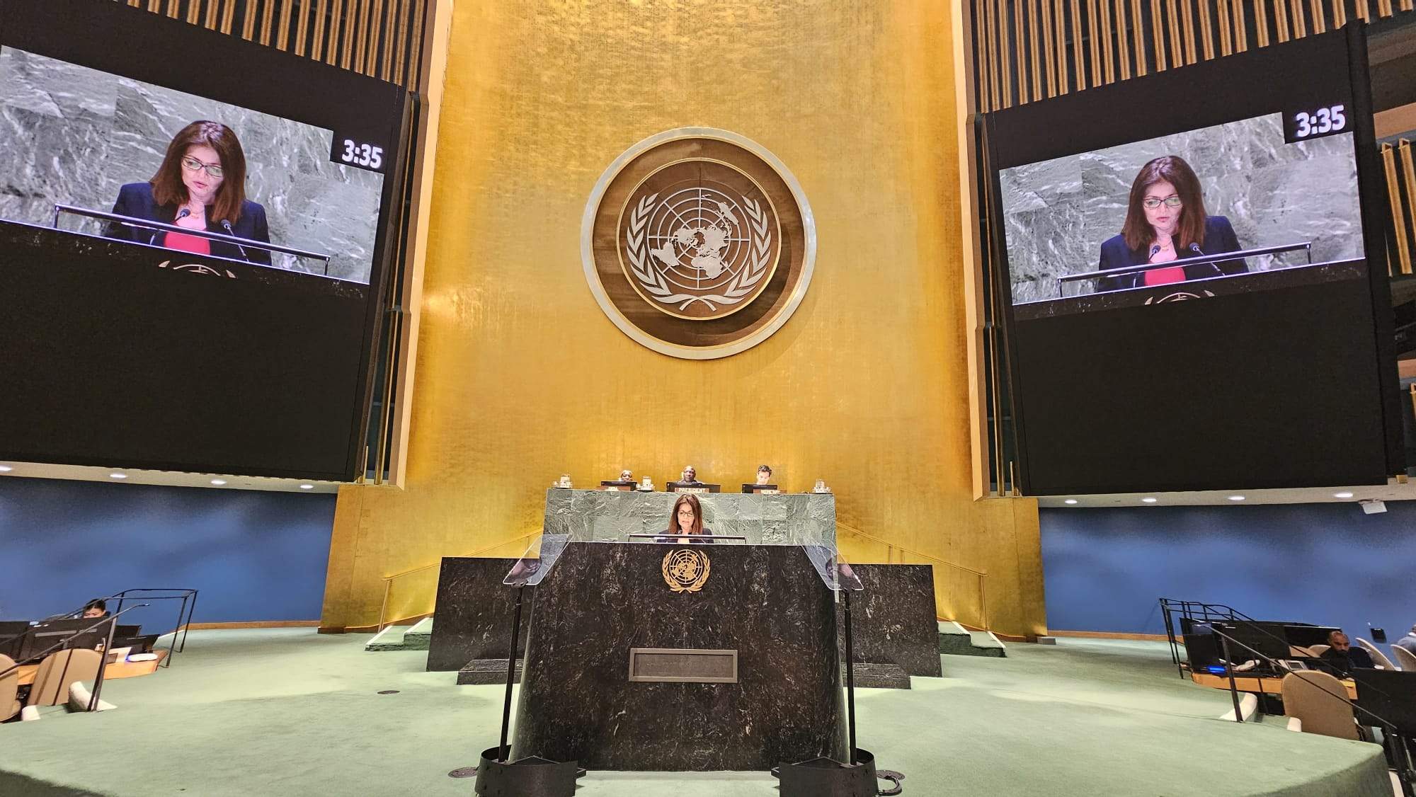 Imma Tor al Fòrum Polític d’Alt Nivell del Consell Econòmic i Social de les Nacions Unides