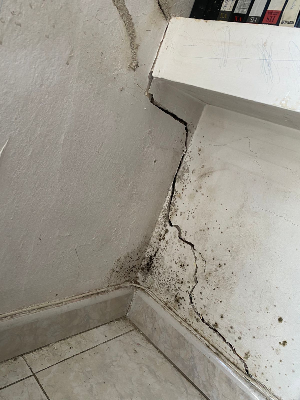 Nova esquerda al menjador del segon pis Nova esquerda al menjador del segon pis