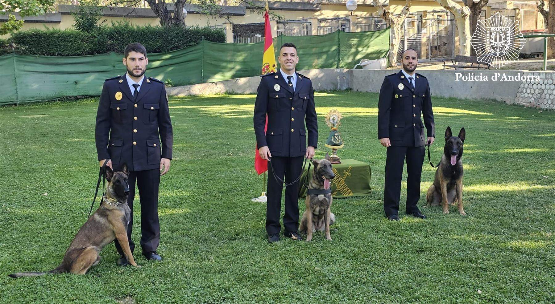 Els tres nous guies canins