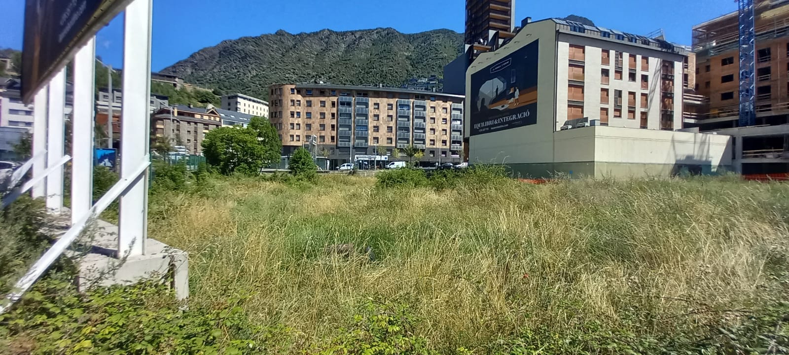 Una imatge de la parcel·la aquest migdia.