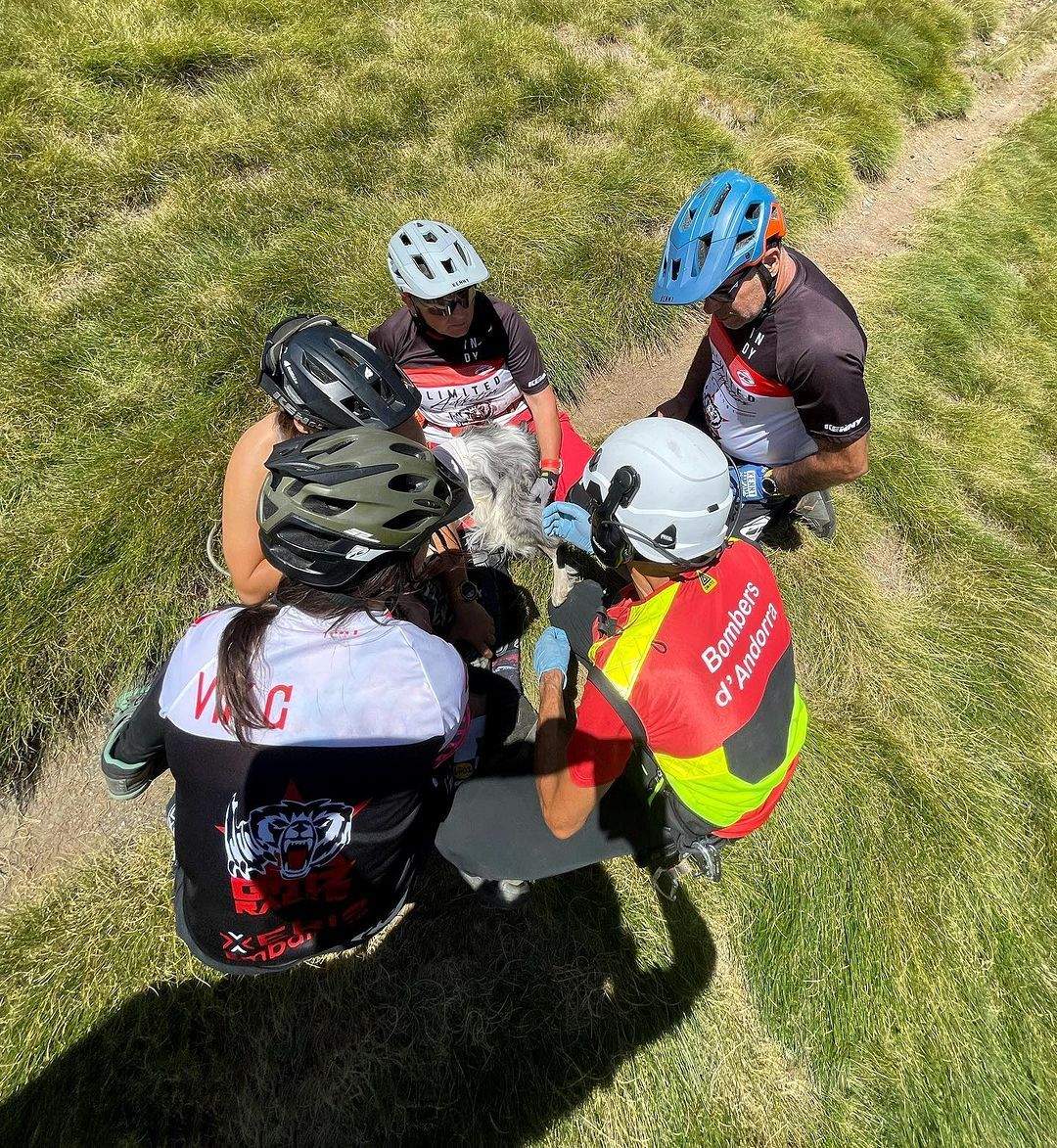 Els bombers amb els acompanyants del gos atenent l'animal.