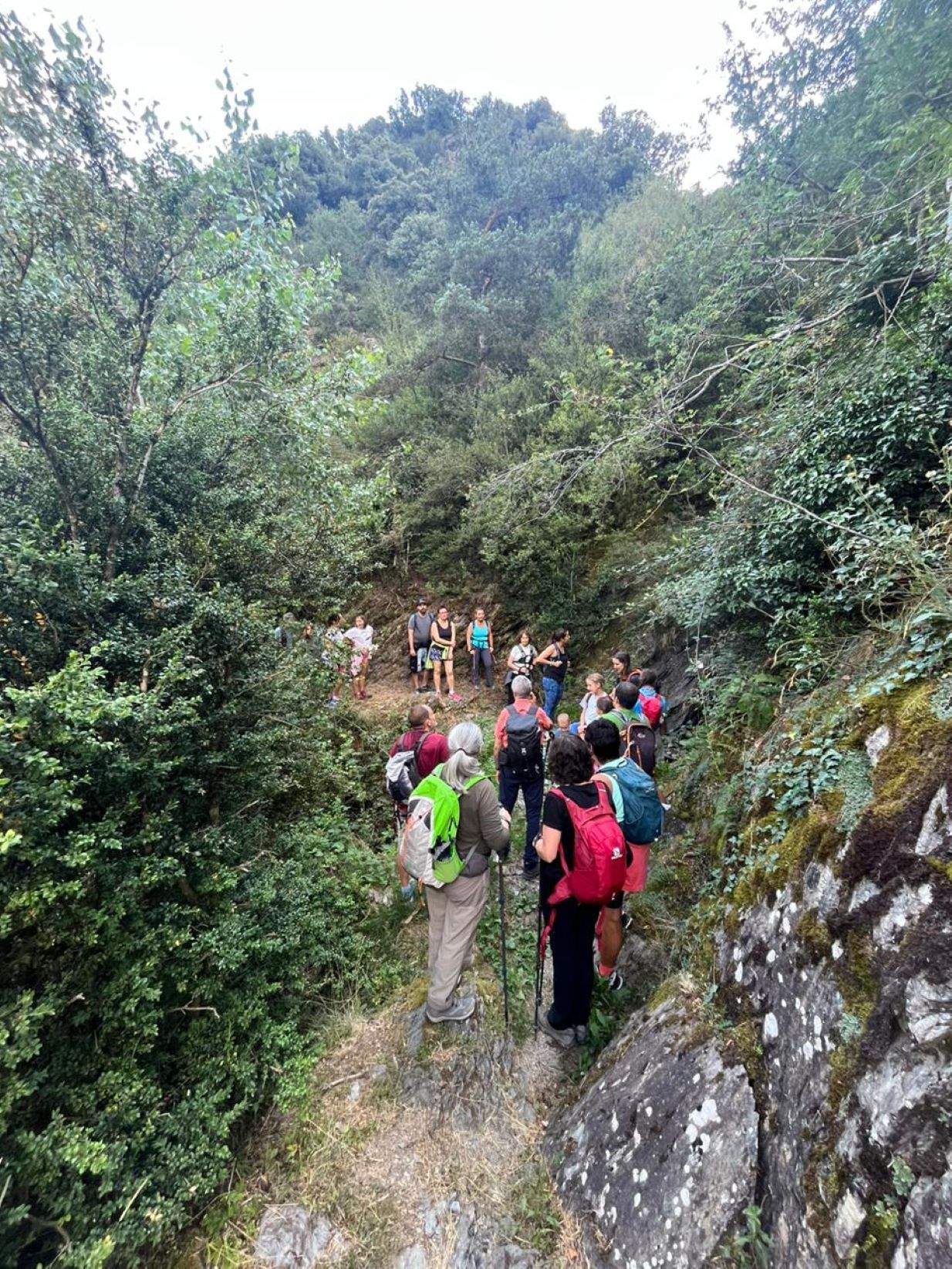 Els participants a la sortida d'aquest dijous al camí de la Senyoreta.
