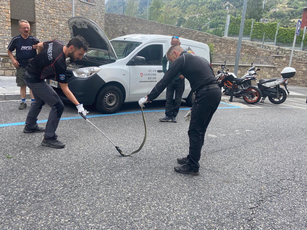 WhatsApp Image 2023 08 04 at 15.12.46 WhatsApp Image 2023 08 04 at 15.12.46